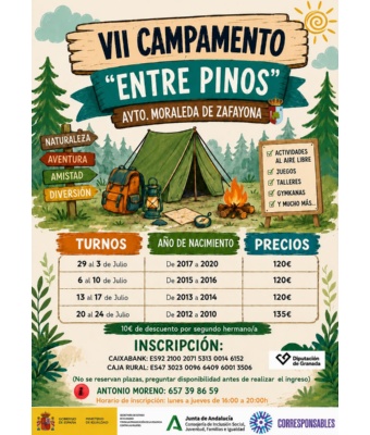 VII  Campamento Entre Pinos